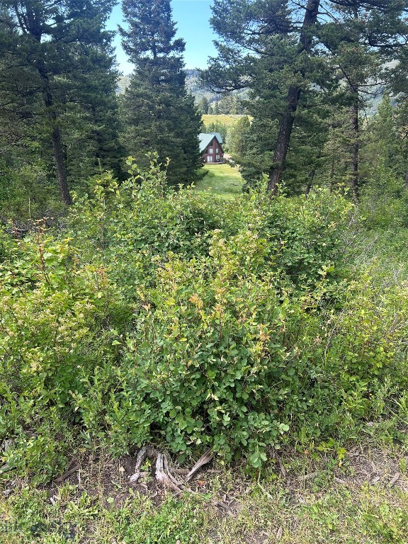 Meadow Creek - Residential