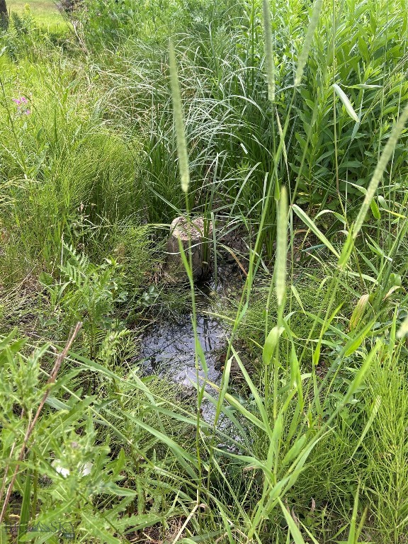 Meadow Creek - Residential