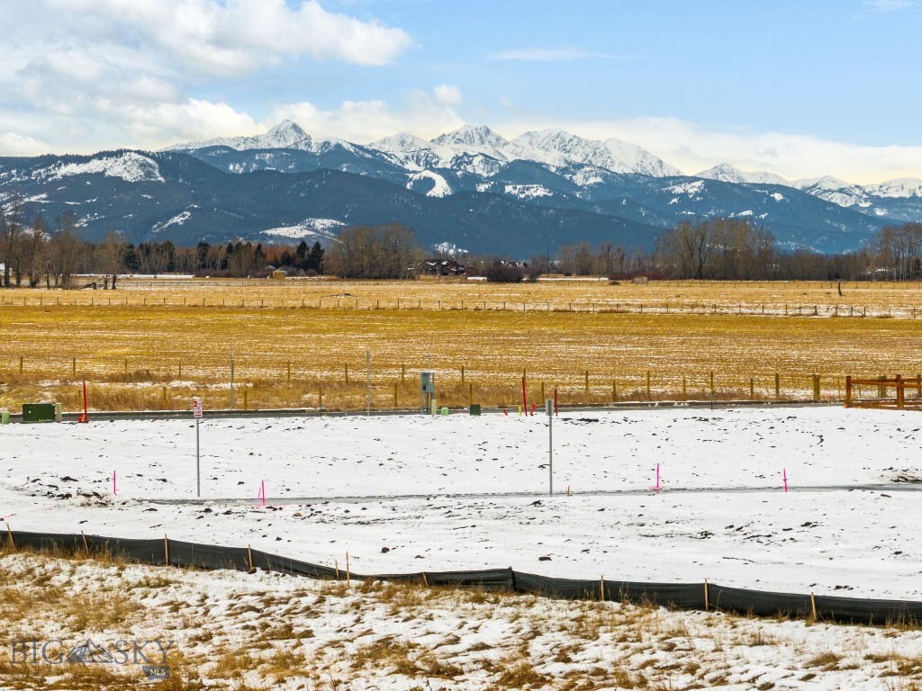 Meadow Bridge - Land