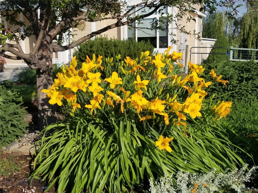 Valley Grove - Residential