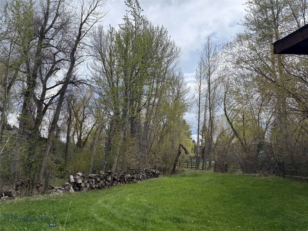 Meadowlark - Land