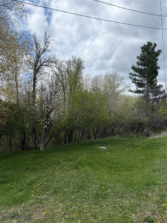 Meadowlark - Land