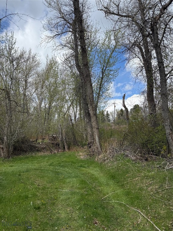 Meadowlark - Land