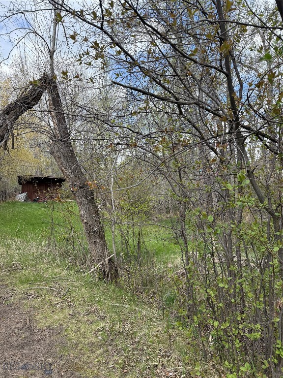 Meadowlark - Land