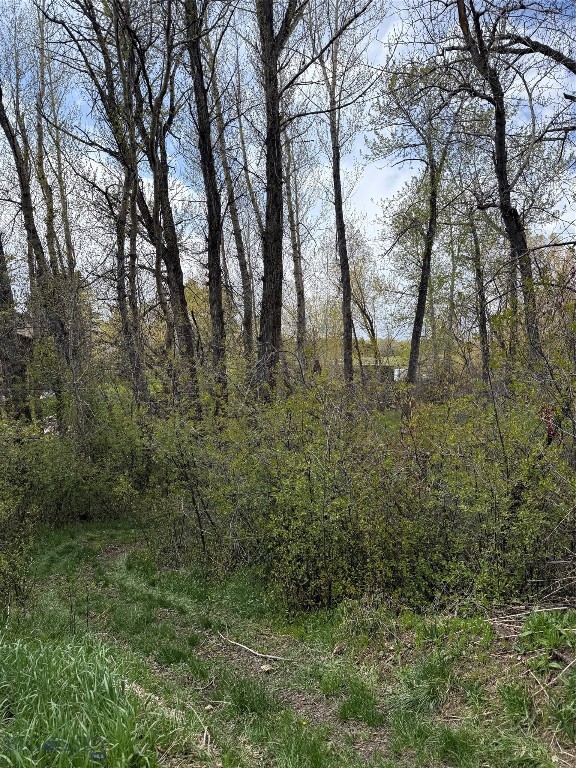 Meadowlark - Land