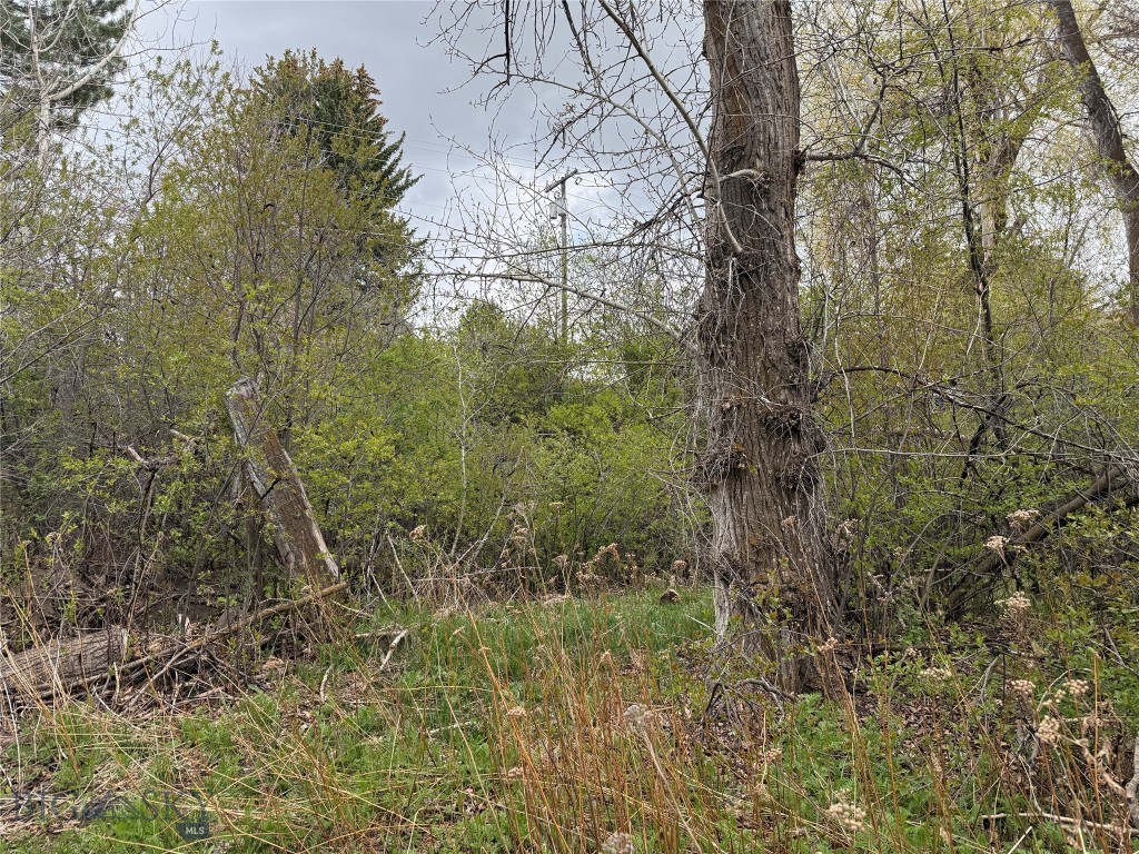 Meadowlark - Land