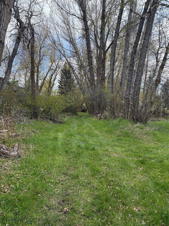Meadowlark - Land
