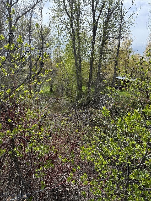 Meadowlark - Land