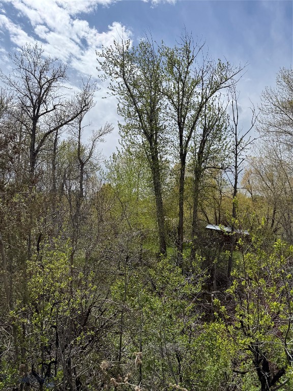Meadowlark - Land