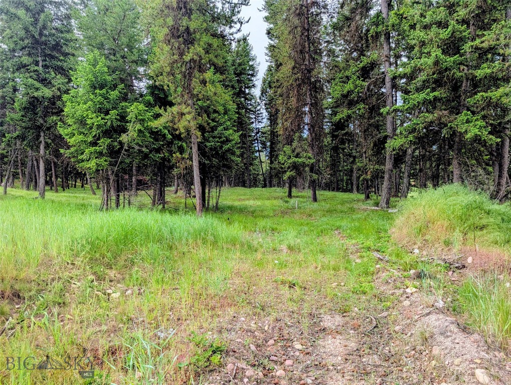 Experience the best of Seeley Lake living on Lot #19 in Alpine Trails. This beautifully wooded .52 acre parcel balances serene privacy with unmatched outdoor recreation. Enjoy 2.5 miles of private, groomed neighborhood trails right outside your door, connecting to the expansive Seeley Lake trail system for year-round hiking, biking, Nordic skiing, and snowmobiling. Excellent build site with city water, power, and internet available. Short-term rentals are permitted, offering great investment flexibility. Close to public lake access, town amenities, and public lands -- your Montana gateway awaits!
Agent owned.