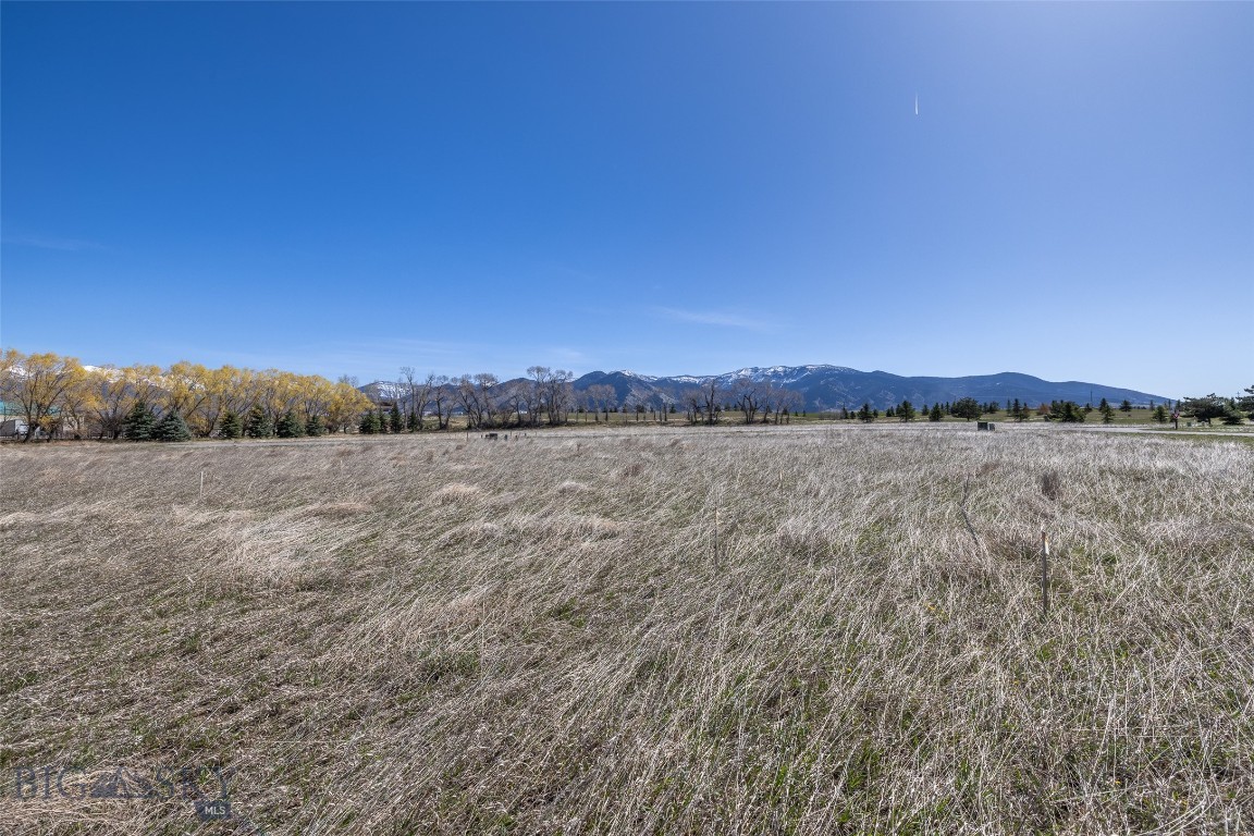 Bridger Lake Meadows - Land