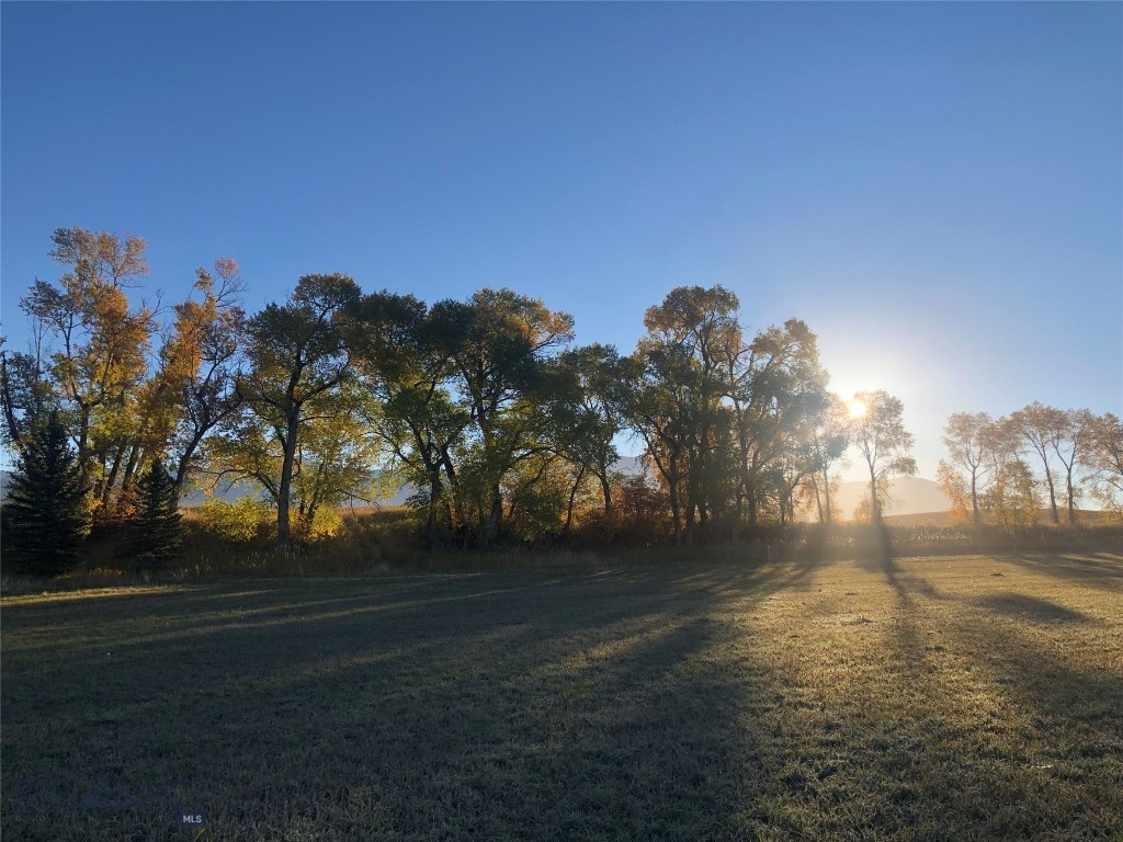 Bridger Lake Meadows - Land