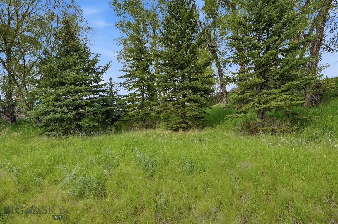Bridger Lake Meadows - Land