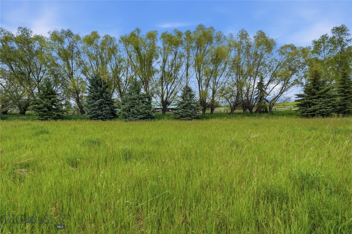 Bridger Lake Meadows - Land