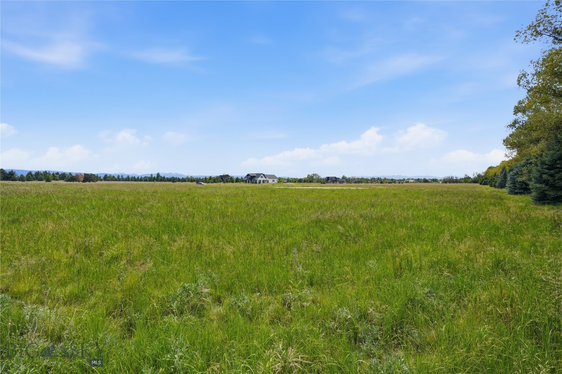 Bridger Lake Meadows - Land