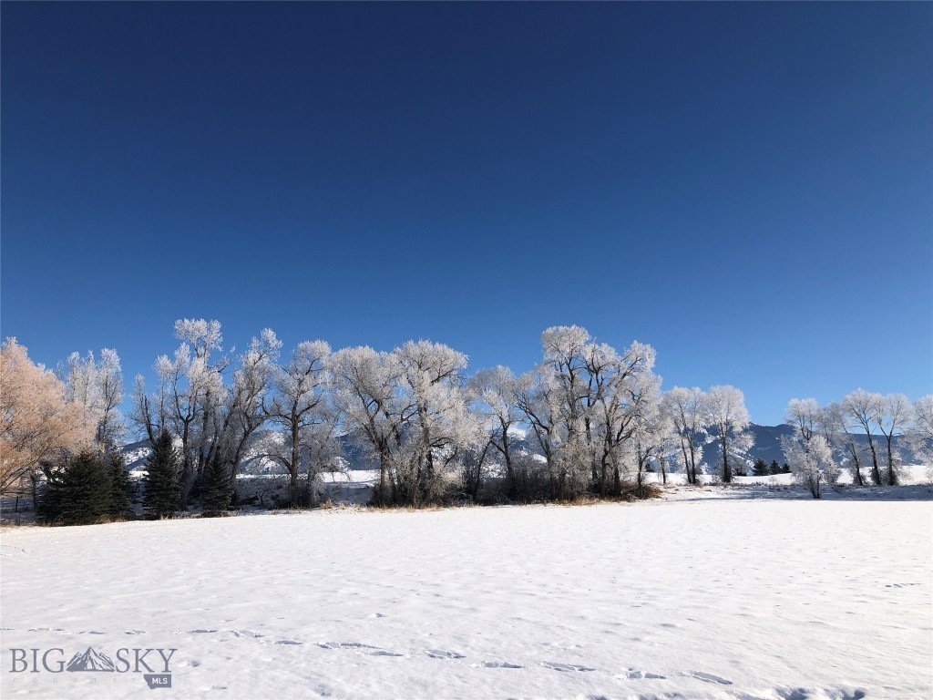Bridger Lake Meadows - Land