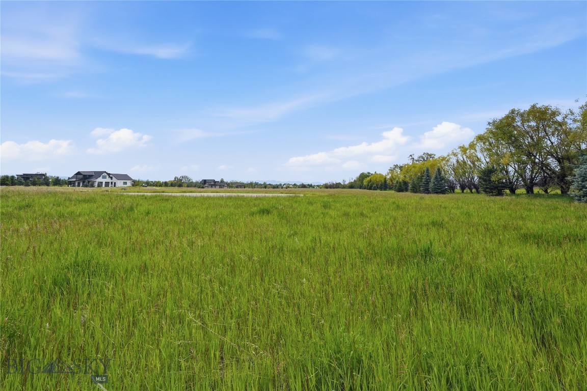 Bridger Lake Meadows - Land