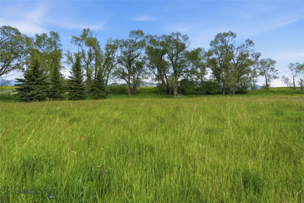 Bridger Lake Meadows - Land