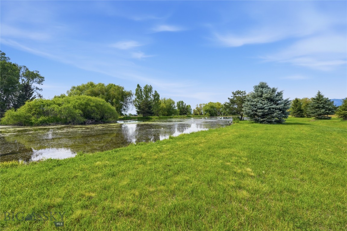 Bridger Lake Meadows - Land