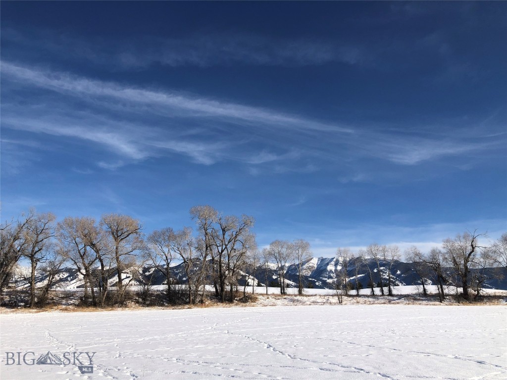 Bridger Lake Meadows - Land