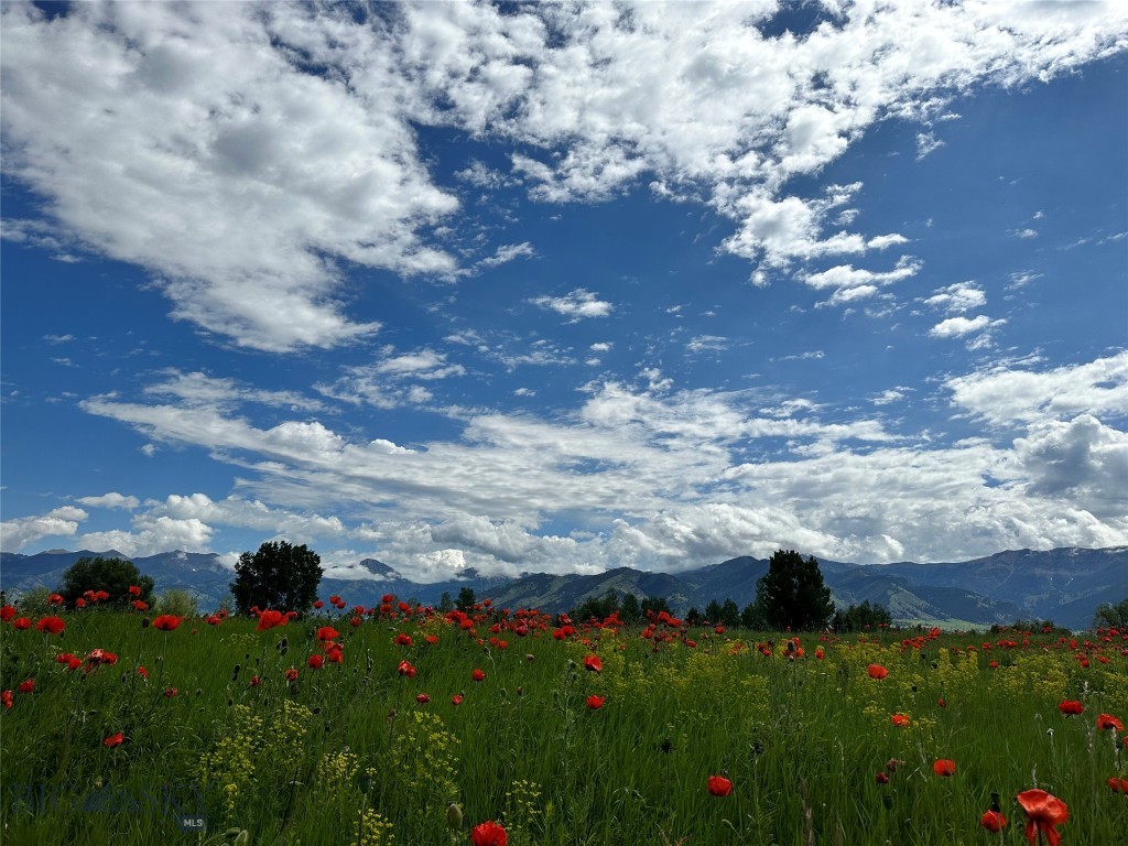 Bridger Lake Meadows - Land