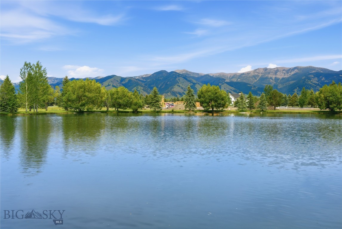 Bridger Lake Meadows - Land