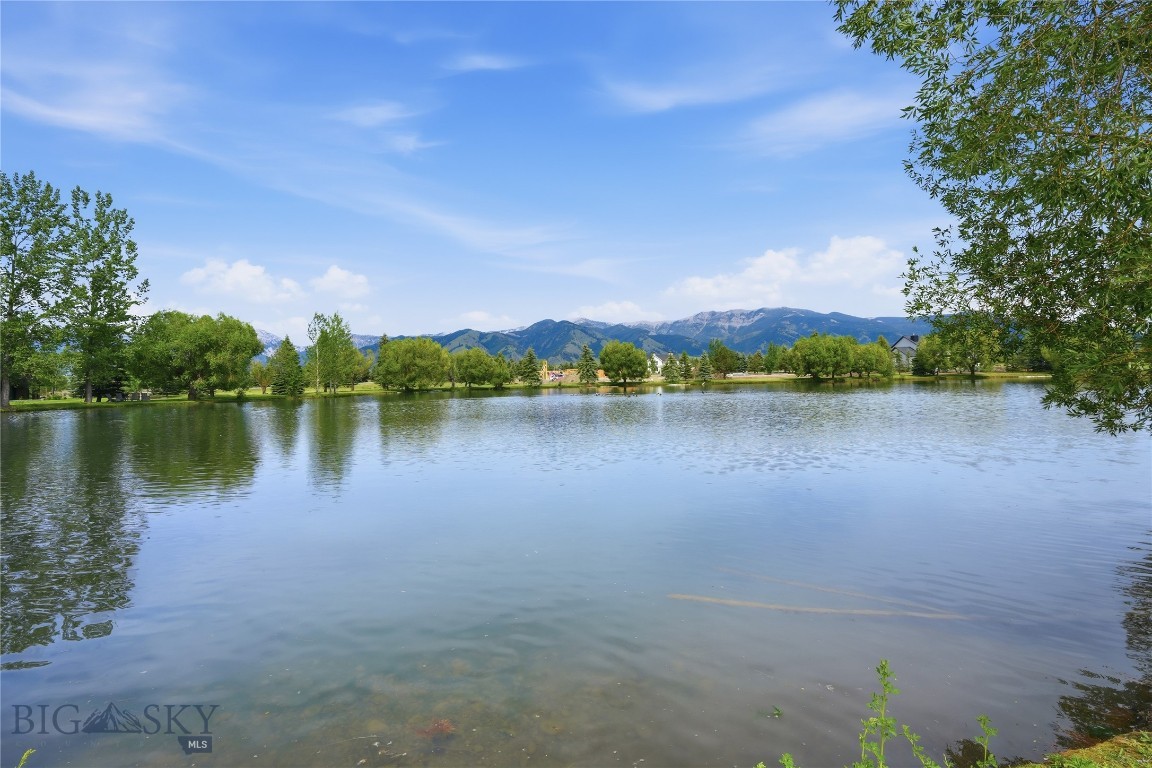Bridger Lake Meadows - Land