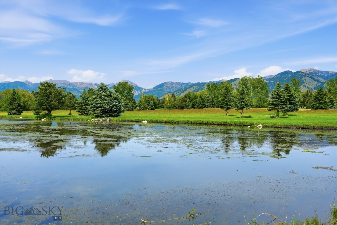 Bridger Lake Meadows - Land