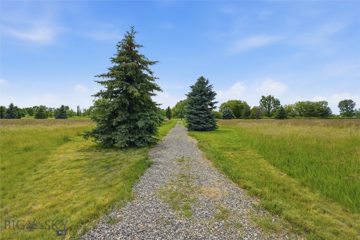 Bridger Lake Meadows - Land