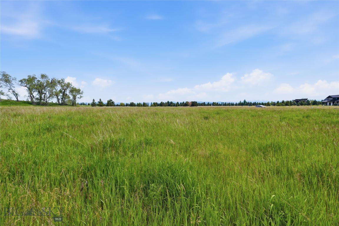 Bridger Lake Meadows - Land