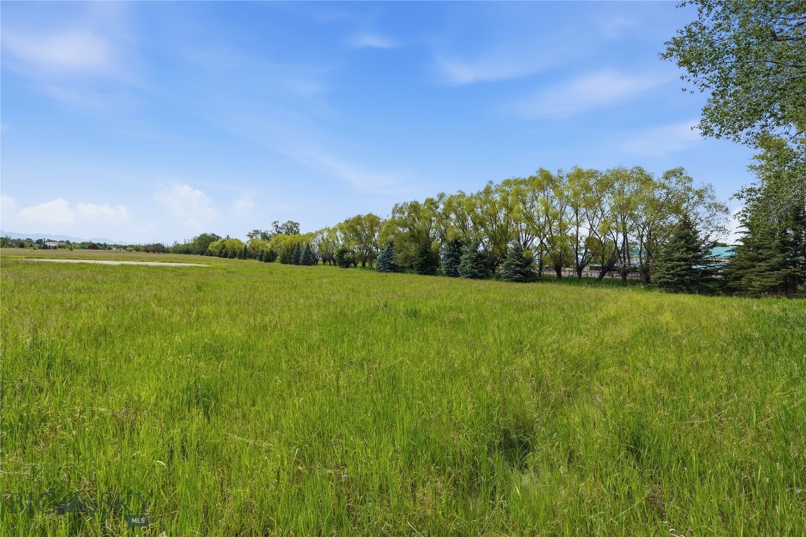 Bridger Lake Meadows - Land