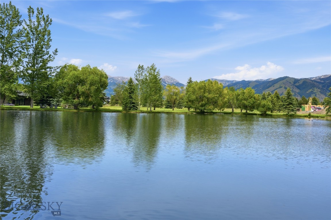 Bridger Lake Meadows - Land