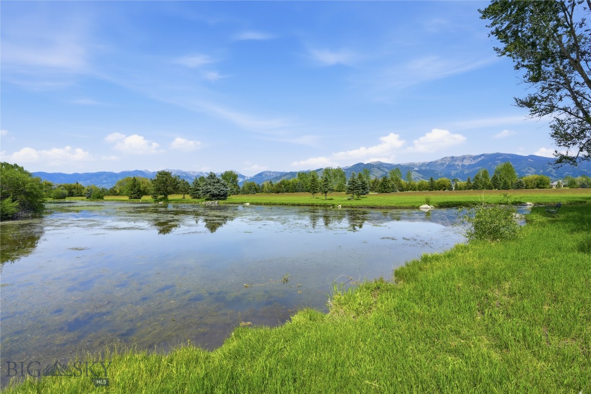 Bridger Lake Meadows - Land