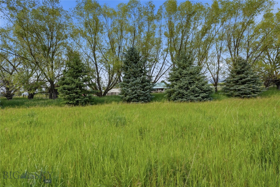 Bridger Lake Meadows - Land