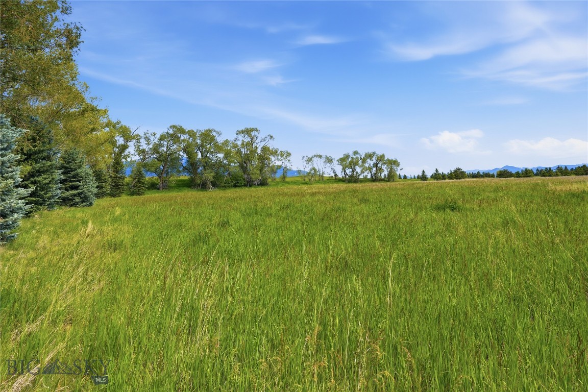 Bridger Lake Meadows - Land
