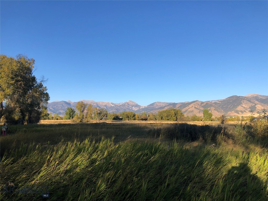 Bridger Lake Meadows - Land