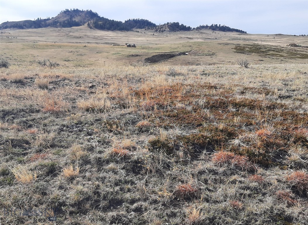 Other - Land