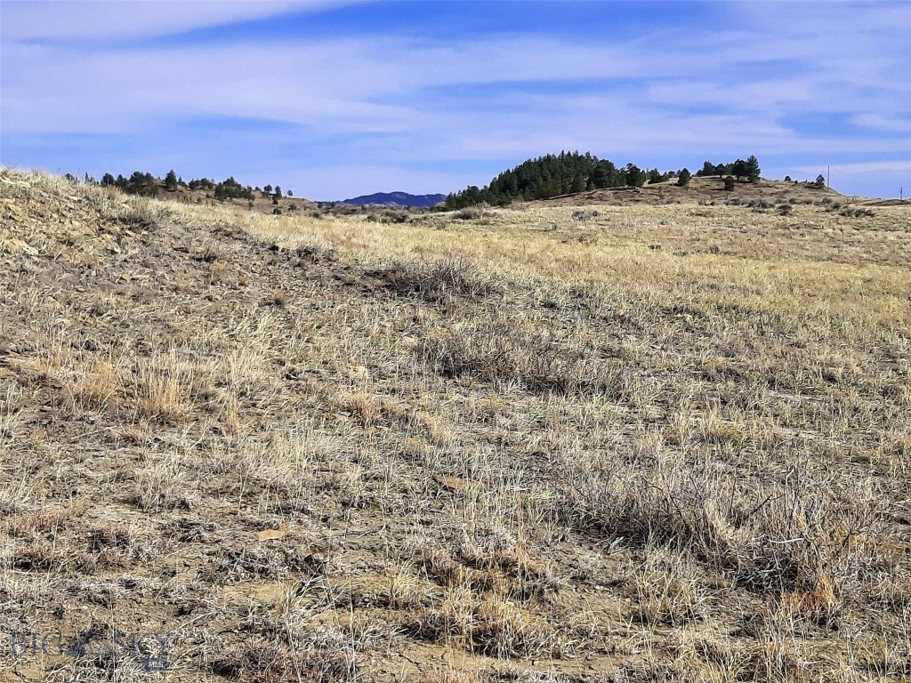 Other - Land