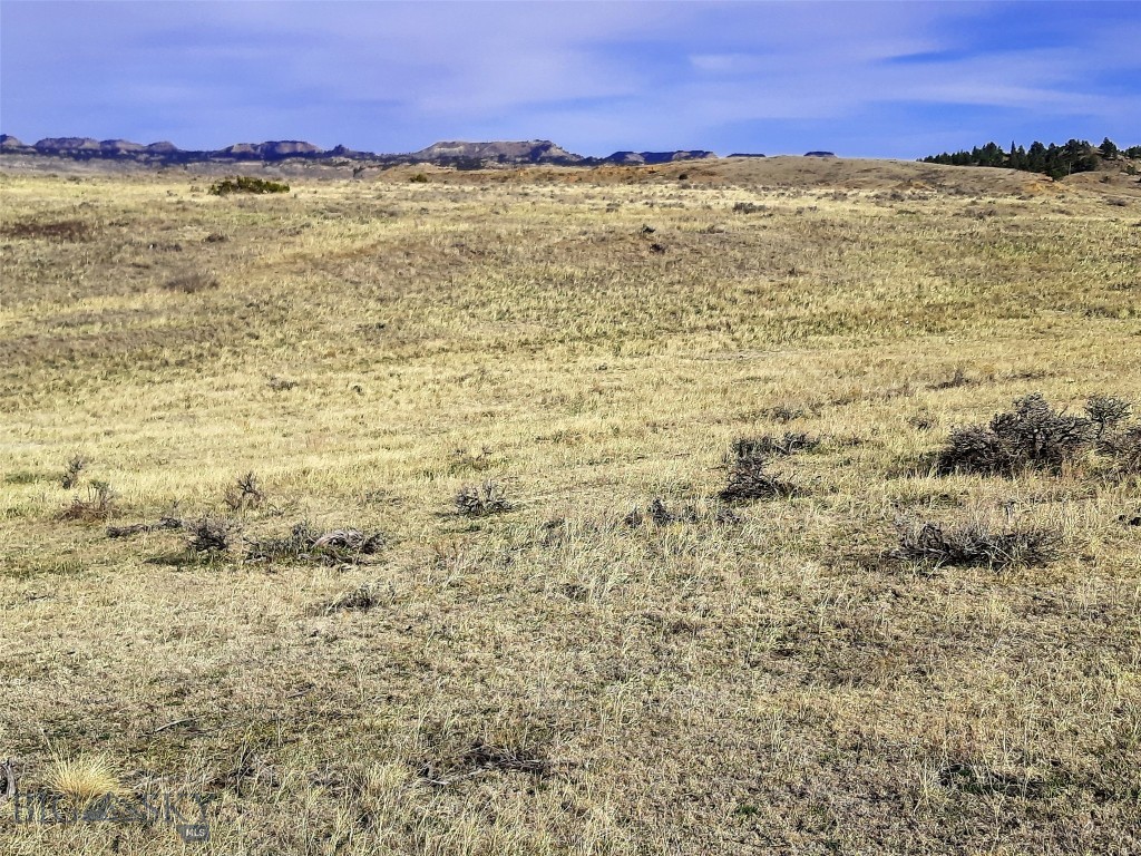 Other - Land
