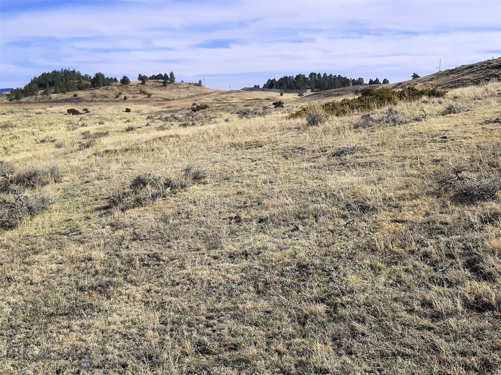 Other - Land