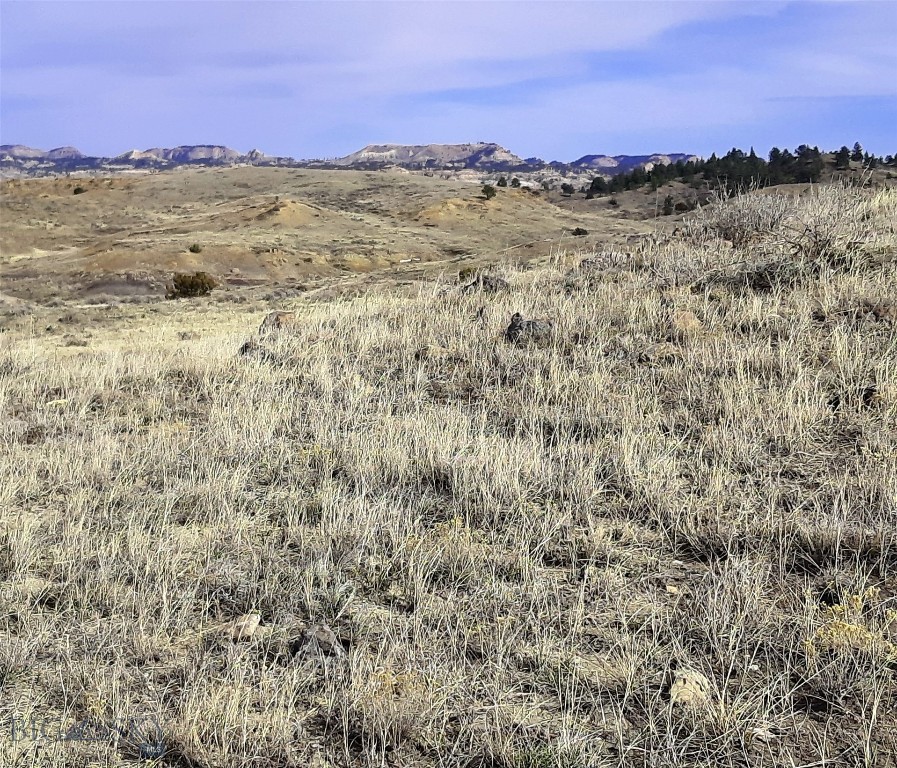 Other - Land