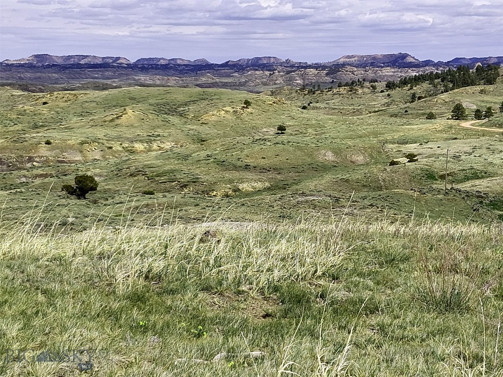 Other - Land
