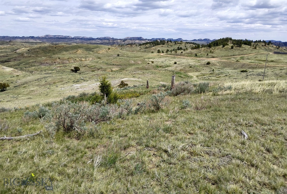 Other - Land