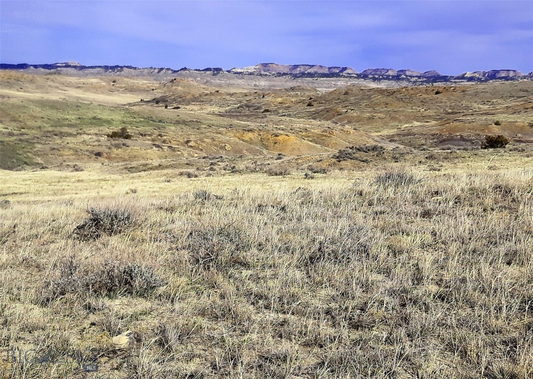 Other - Land