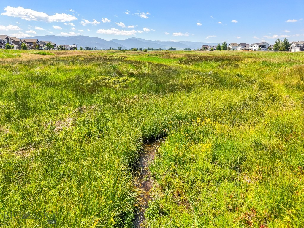 Meadow Bridge - Land