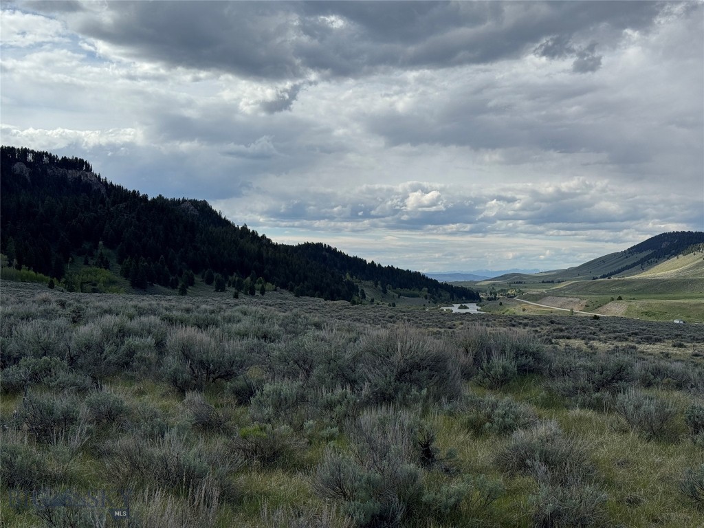 Sundance Bench - Land