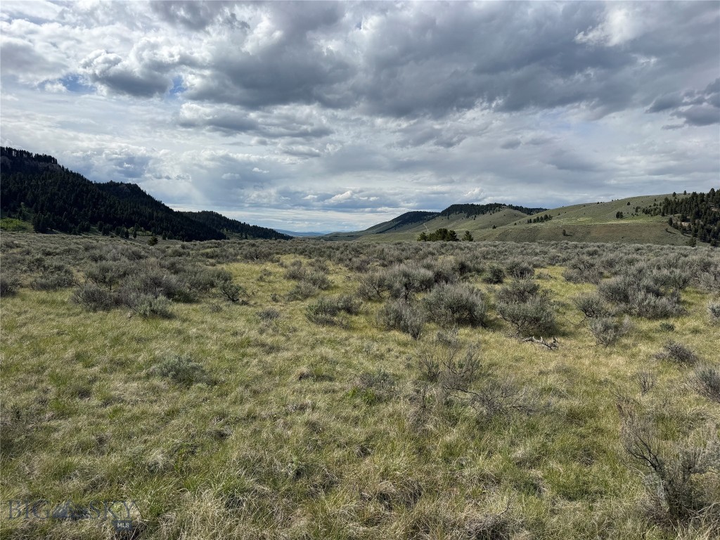 Sundance Bench - Land
