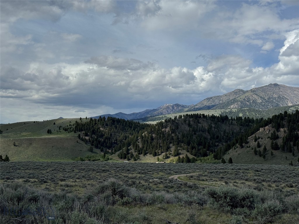 Sundance Bench - Land