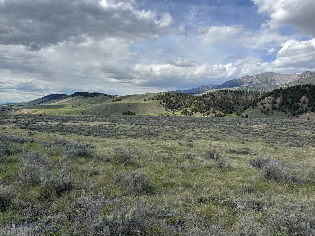 Sundance Bench - Land