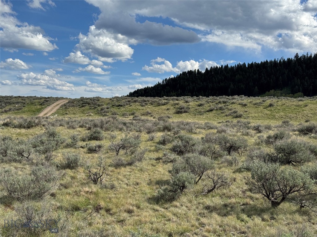 Sundance Bench - Land